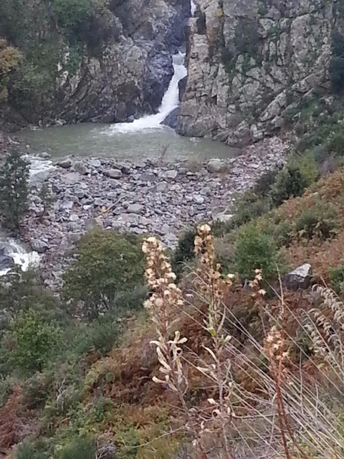 B&B L'Alba Gagliato Esterno foto